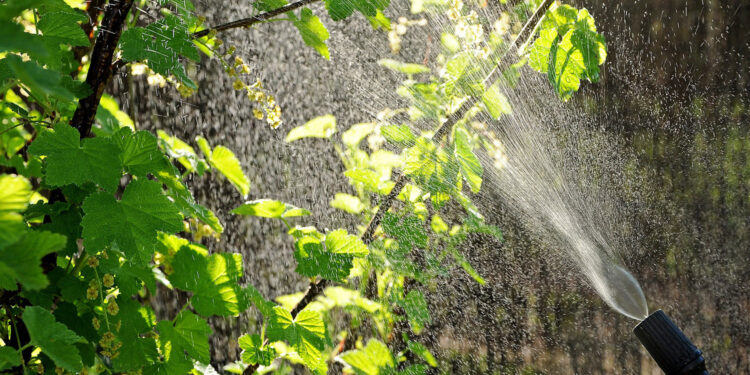 Sandomierski oddział ŚODR zaprasza na kurs chemizacyjny – uzupełniający - Radio Kielce