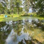 20.09.2022. Bodzentyn. Stawy Biskupie / Fot. Wiktor Taszłow - Radio Kielce