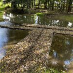 20.09.2022. Bodzentyn. Stawy Biskupie / Fot. Wiktor Taszłow - Radio Kielce