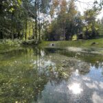 20.09.2022. Bodzentyn. Stawy Biskupie / Fot. Wiktor Taszłow - Radio Kielce