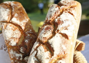 Zakwas – niezbędny składnik smacznego i zdrowego chleba - Radio Kielce