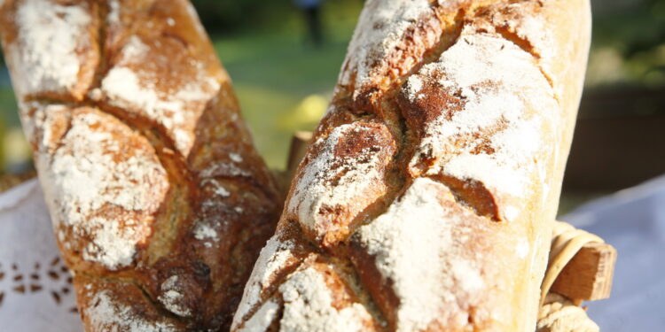 Zakwas – niezbędny składnik smacznego i zdrowego chleba - Radio Kielce