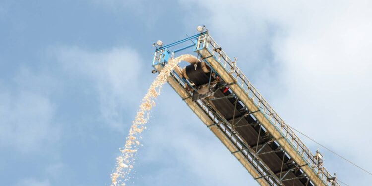 Premier: jeśli nie uda się opanować cen nawozów, to powtórzymy program dopłat - Radio Kielce