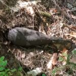 06.09.2022. Gmina Bliżyn. Pocisk moździerzowe / Fot. policja