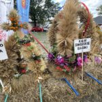 03.09.2022. Bałtów. Dożynki powiatowo-gminne / Fot. Emilia Sitarska - Radio Kielce