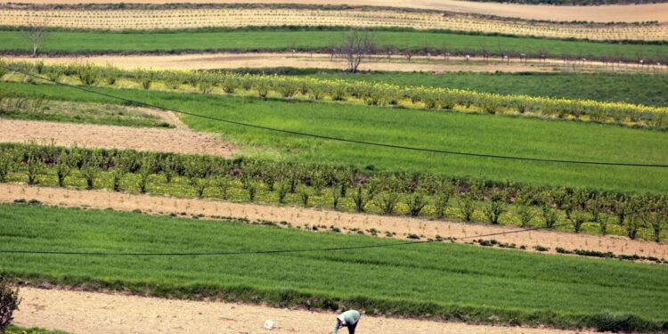 Pomoc dla rolników i firm poszkodowanych przez wojnę w Ukrainie - Radio Kielce Pomoc dla rolników i firm poszkodowanych przez wojnę w Ukrainie - Radio Kielce