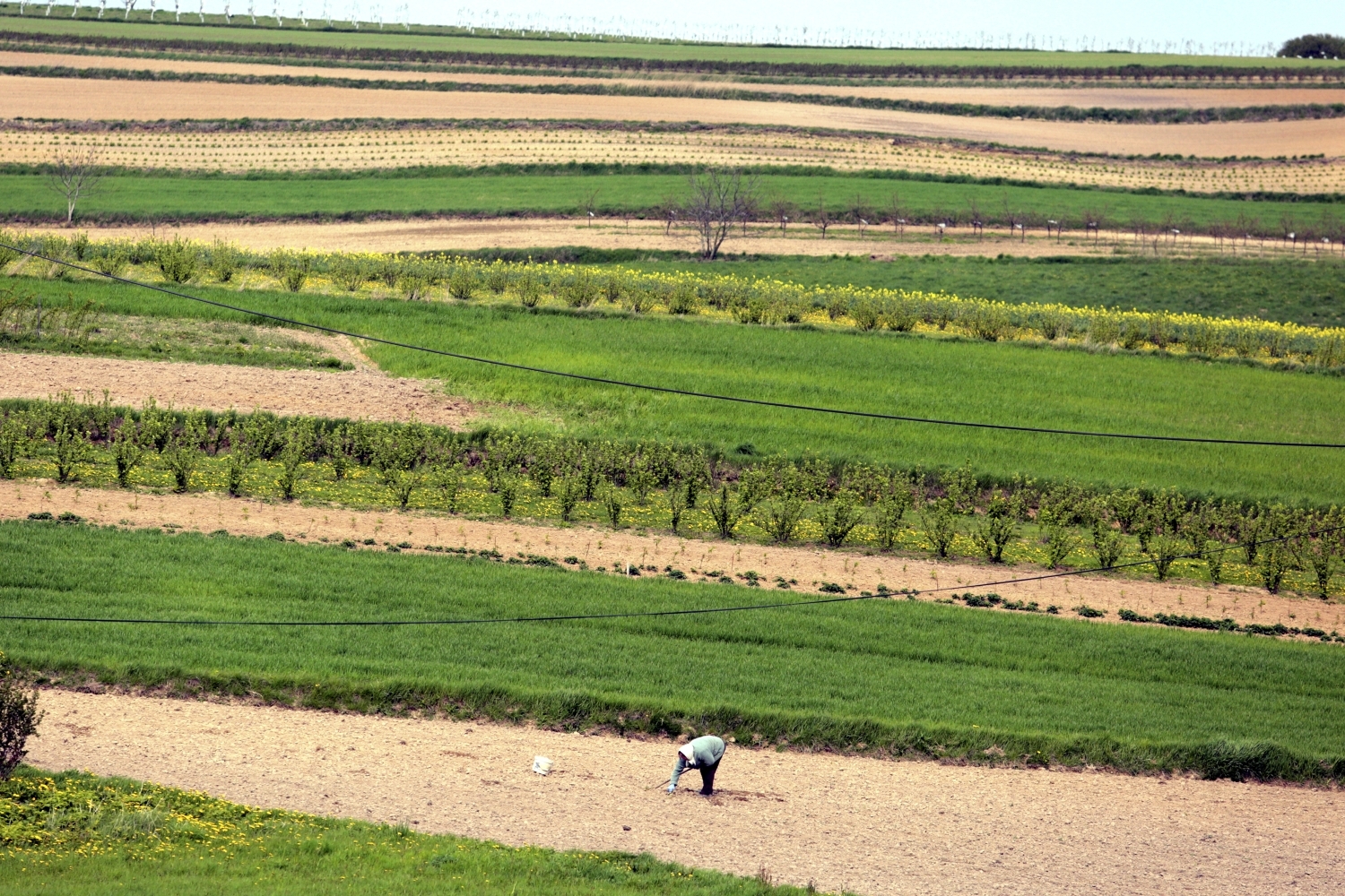 Pomoc dla rolników i firm poszkodowanych przez wojnę w Ukrainie - Radio Kielce Pomoc dla rolników i firm poszkodowanych przez wojnę w Ukrainie - Radio Kielce