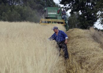 Zmiany w emeryturach rolniczych w 2023 r. Rząd planuje waloryzację świadczeń z KRUS - Radio Kielce