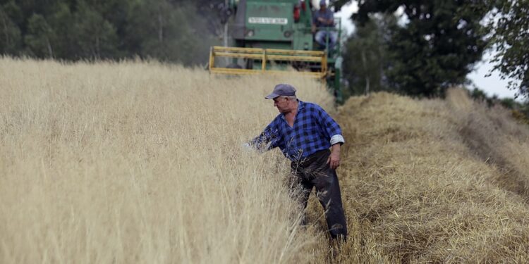 Zmiany w emeryturach rolniczych w 2023 r. Rząd planuje waloryzację świadczeń z KRUS - Radio Kielce