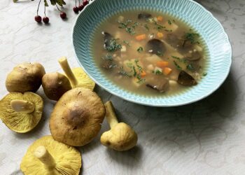 Krupnik na zieleniatkach - Radio Kielce