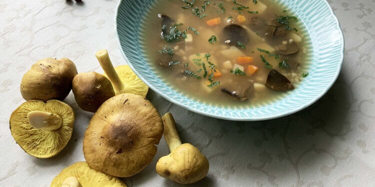 Krupnik na zieleniatkach - Radio Kielce