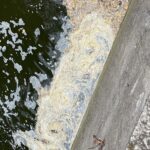 14.09.2022. Kielce. Silnica / Fot. Wiktor Taszłow - Radio Kielce