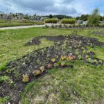 22.09.2022. Kielce. Ogród botaniczny. Rabaty w kształcie kontynentów / Fot. Wiktor Taszłow - Radio Kielce