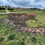 22.09.2022. Kielce. Ogród botaniczny. Rabaty w kształcie kontynentów / Fot. Wiktor Taszłow - Radio Kielce