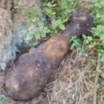 06.09.2022. Gmina Bliżyn. Pocisk moździerzowe / Fot. policja