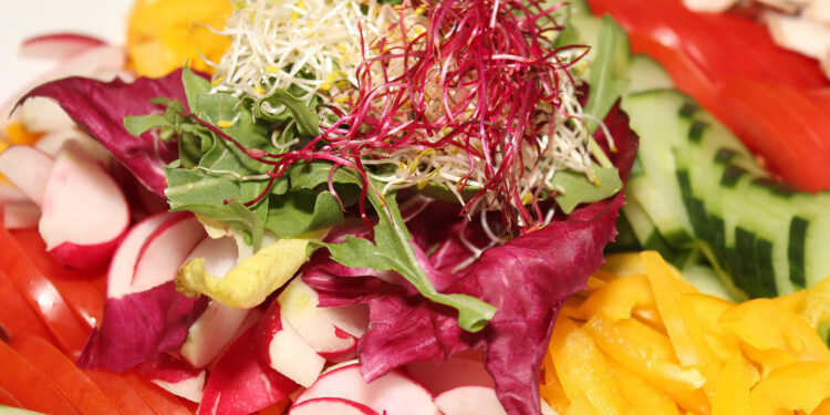 Skarby z naszych pól i sadów. Świętokrzyskie przoduje w jedzeniu warzyw - Radio Kielce