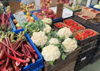 Czy na naszych stołach może tej zimy zabraknąć polskich owoców i warzyw? - Radio Kielce