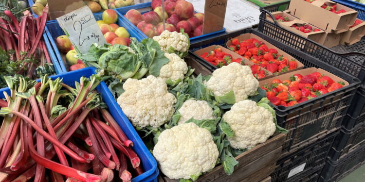 Czy na naszych stołach może tej zimy zabraknąć polskich owoców i warzyw? - Radio Kielce