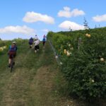 03.09.2022. Sandomierz. II Festiwal Biegowy Sandomierskim Szlakiem Winiarskim / Fot. Izabela Wiśniewska