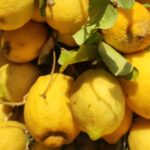 Włochy Środkowe. Część 2 / Fot. Danuta Rasała