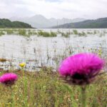 Włochy Środkowe. Część 2 / Fot. Danuta Rasała