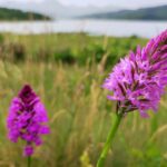 Włochy Środkowe. Część 2 / Fot. Danuta Rasała