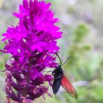 Włochy Środkowe. Część 2 / Fot. Danuta Rasała