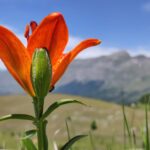 Włochy Środkowe. Część 2 / Fot. Danuta Rasała