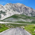 Włochy Środkowe. Część 2 / Fot. Danuta Rasała