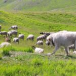 Włochy Środkowe. Część 2 / Fot. Danuta Rasała