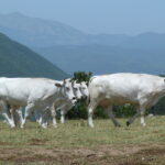 Włochy Środkowe. Część 2 / Fot. Danuta Rasała