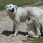 Włochy Środkowe. Część 2 / Fot. Danuta Rasała