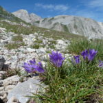 Włochy Środkowe. Część 2 / Fot. Danuta Rasała