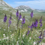 Włochy Środkowe. Część 2 / Fot. Danuta Rasała