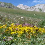 Włochy Środkowe. Część 2 / Fot. Danuta Rasała