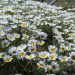 Włochy Środkowe. Część 2 / Fot. Danuta Rasała