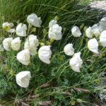 Włochy Środkowe. Część 2 / Fot. Danuta Rasała