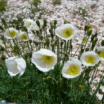 Włochy Środkowe. Część 2 / Fot. Danuta Rasała