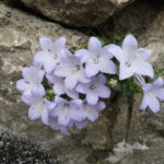 Włochy Środkowe. Część 2 / Fot. Danuta Rasała