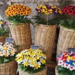 Włochy Środkowe. Część 2 / Fot. Danuta Rasała