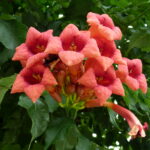 Włochy Środkowe. Część 2 / Fot. Danuta Rasała