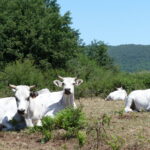08.10.2022. Muzyczne podróże. Włochy Południowe / Fot. Danuta Rasała