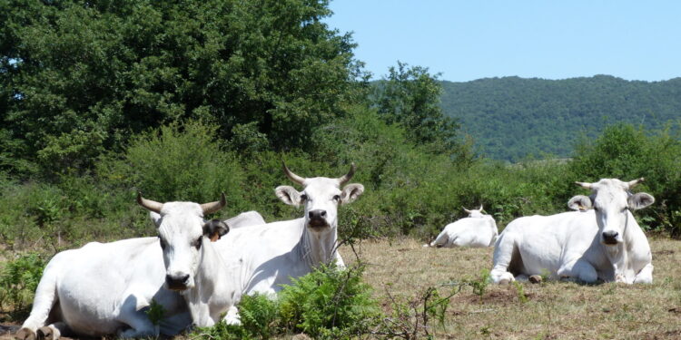 08.10.2022. Muzyczne podróże. Włochy Południowe / Fot. Danuta Rasała