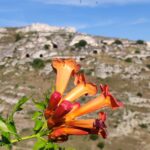 08.10.2022. Muzyczne podróże. Włochy Południowe / Fot. Danuta Rasała