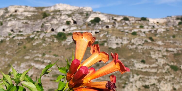 08.10.2022. Muzyczne podróże. Włochy Południowe / Fot. Danuta Rasała