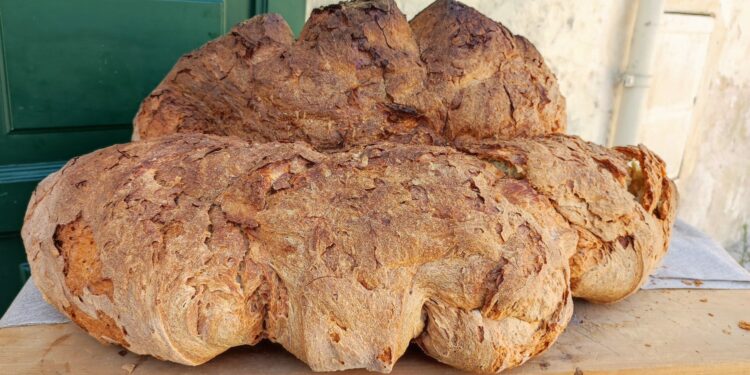 08.10.2022. Muzyczne podróże. Włochy Południowe / Fot. Danuta Rasała