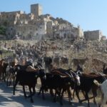 08.10.2022. Muzyczne podróże. Włochy Południowe / Fot. Danuta Rasała