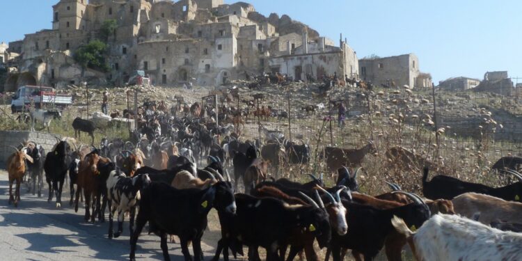 08.10.2022. Muzyczne podróże. Włochy Południowe / Fot. Danuta Rasała