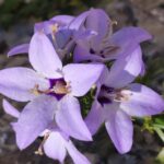 08.10.2022. Muzyczne podróże. Włochy Południowe / Fot. Danuta Rasała