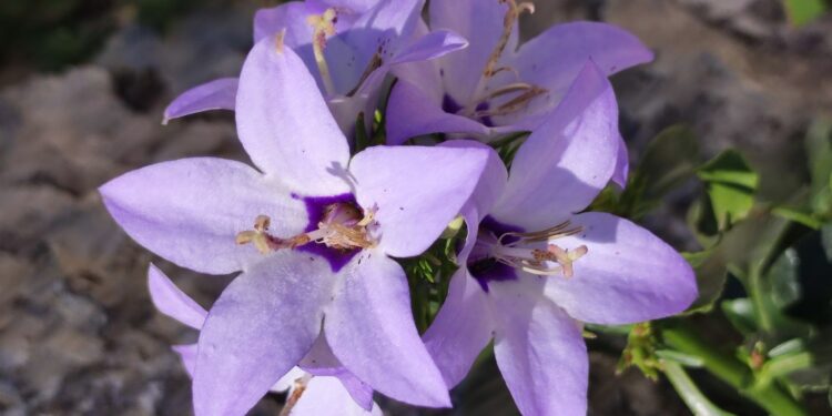 08.10.2022. Muzyczne podróże. Włochy Południowe / Fot. Danuta Rasała